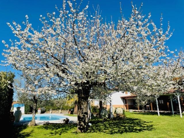 Villa "Casa Al Chiazzullo" Mirabella Eclano Εξωτερικό φωτογραφία